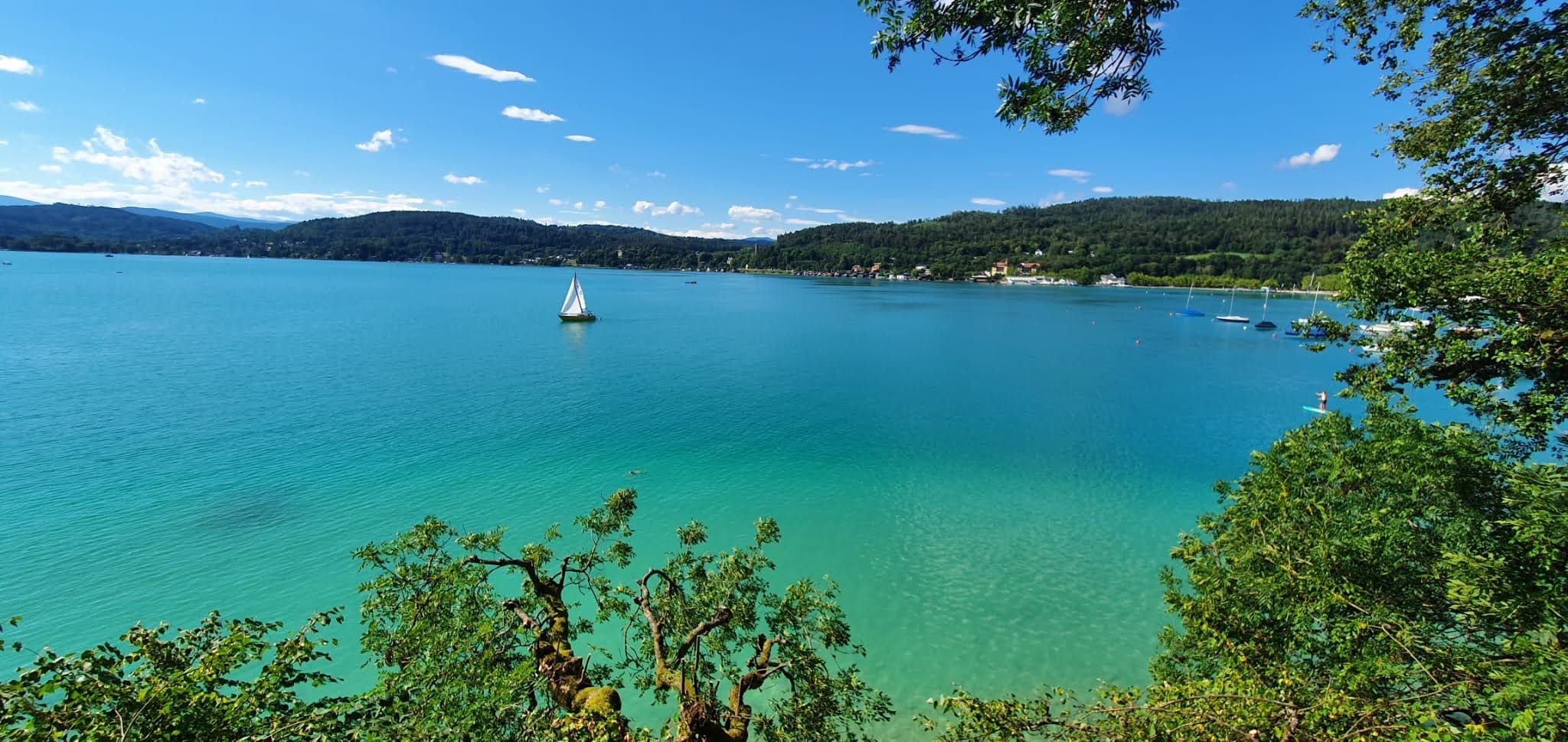 9c2ef38f c18e 425f b2e6 2f23a932ee28