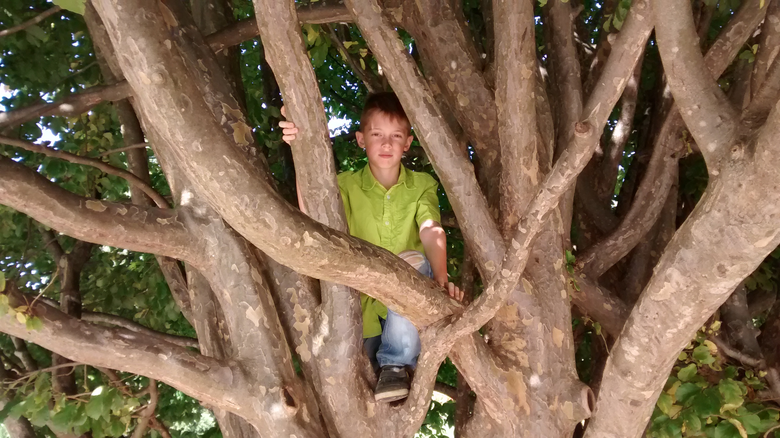 IMG 20141012 135335327