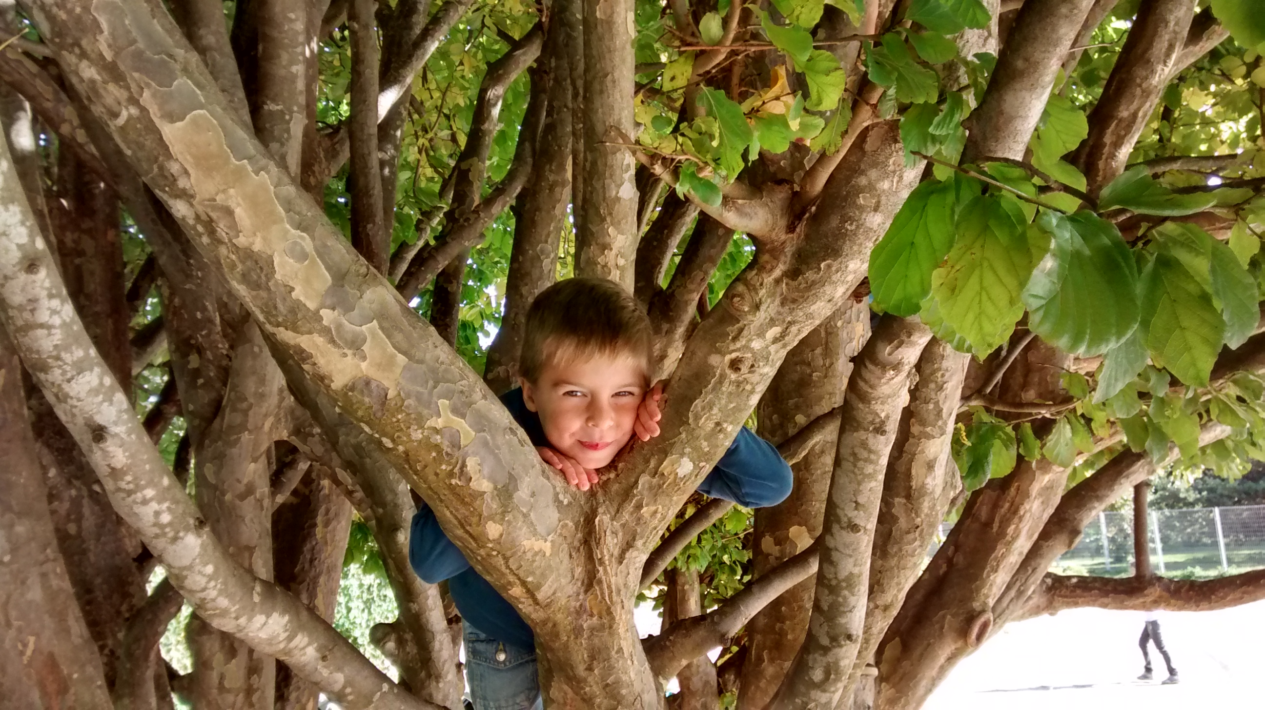 IMG 20141012 135422889 HDR