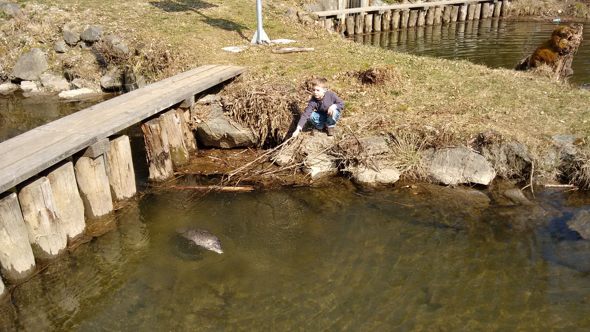 IMG 20160328 150508532