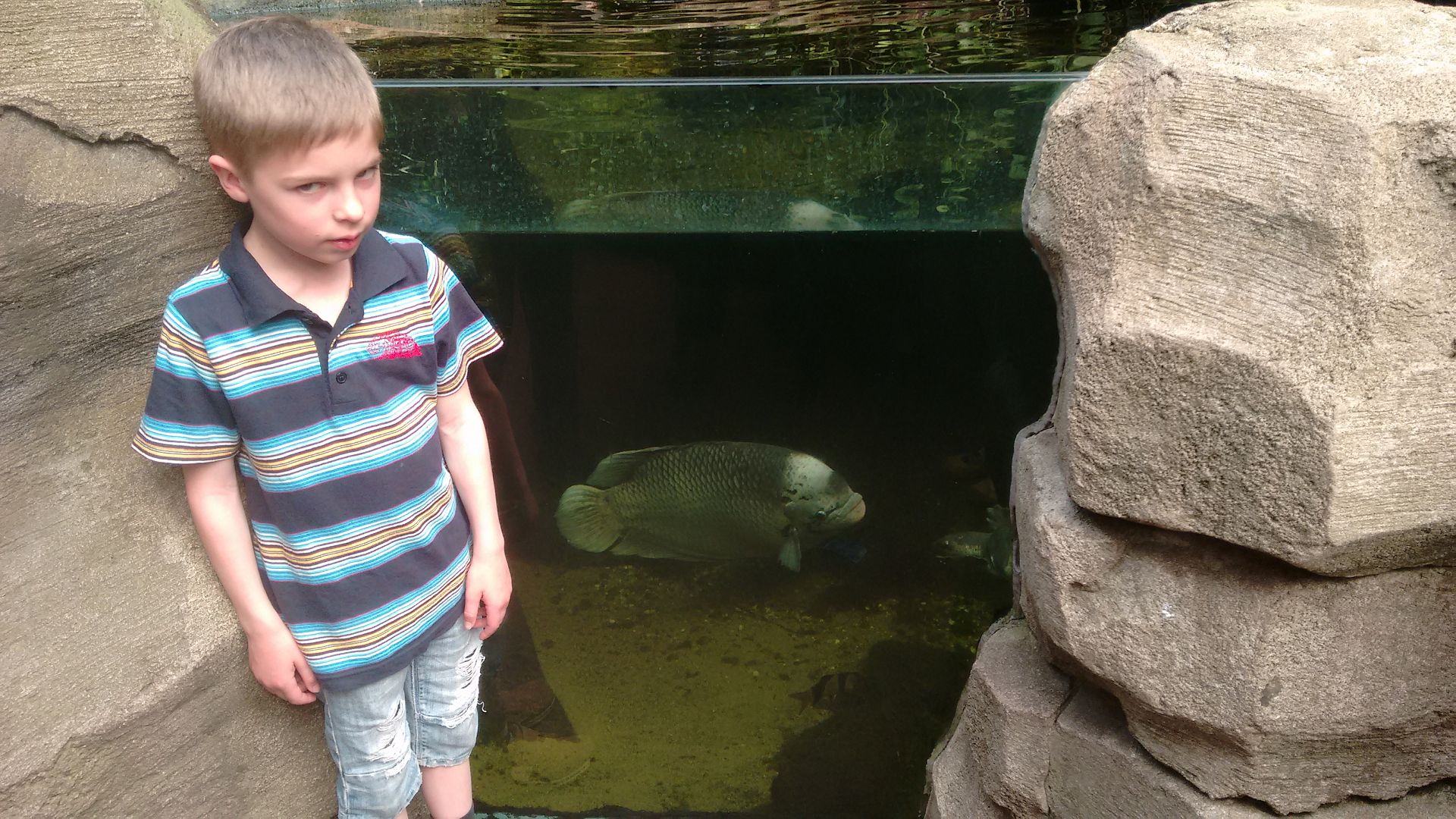 IMG 20160507 164415541