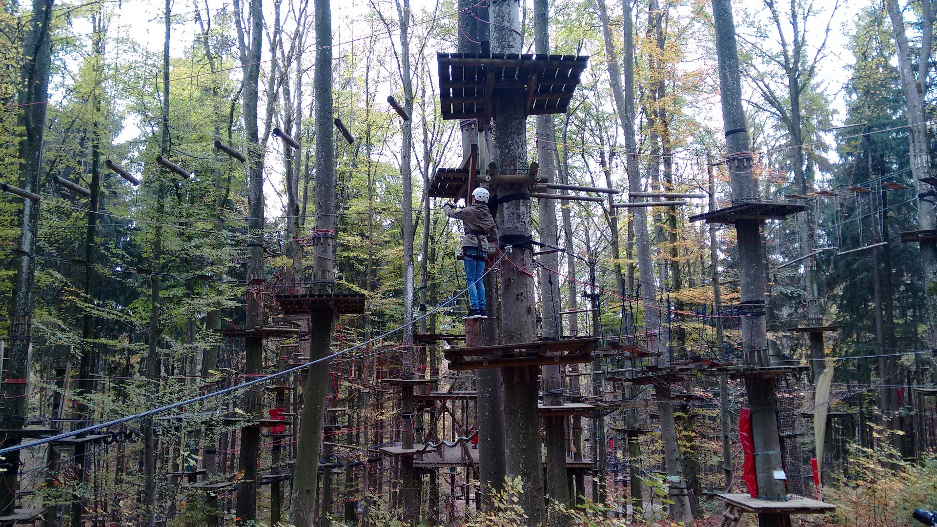 IMG 20171030 124327401