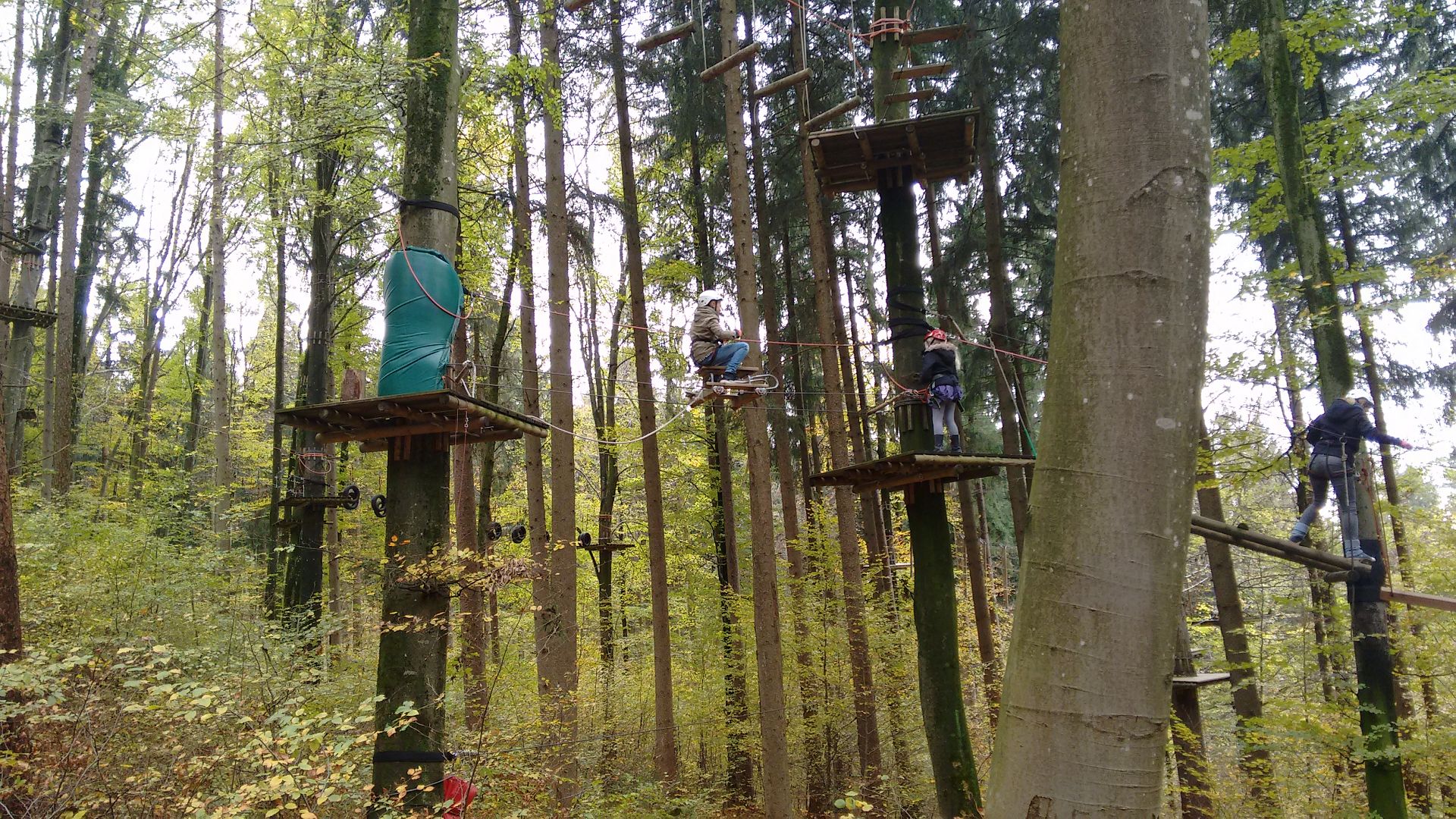 IMG 20171030 124629086