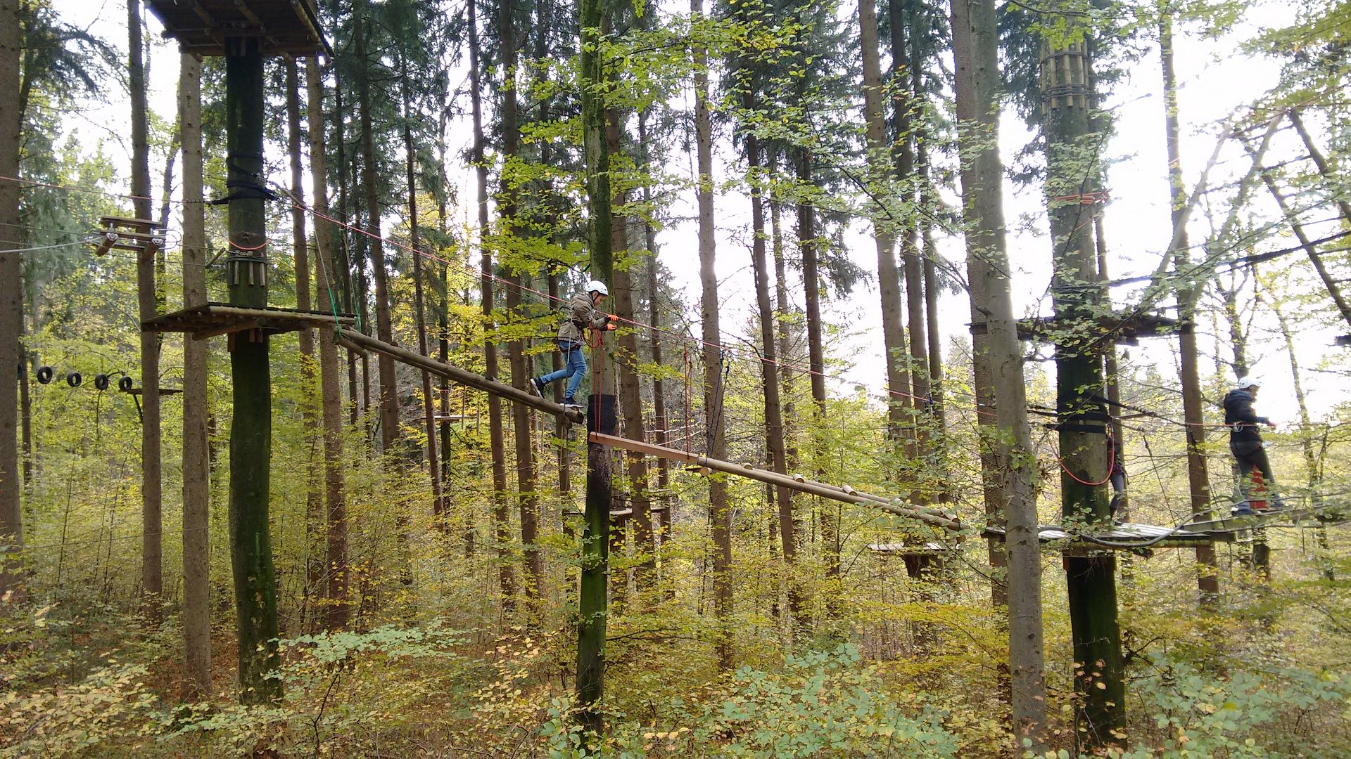 IMG 20171030 124847742