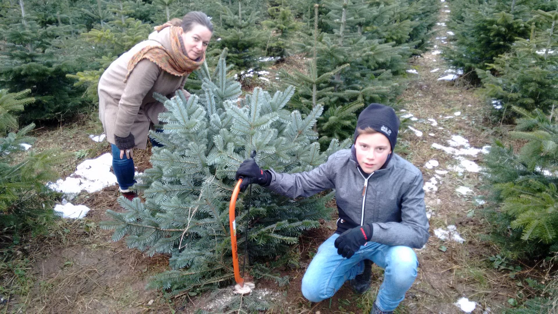 IMG 20171217 153909840