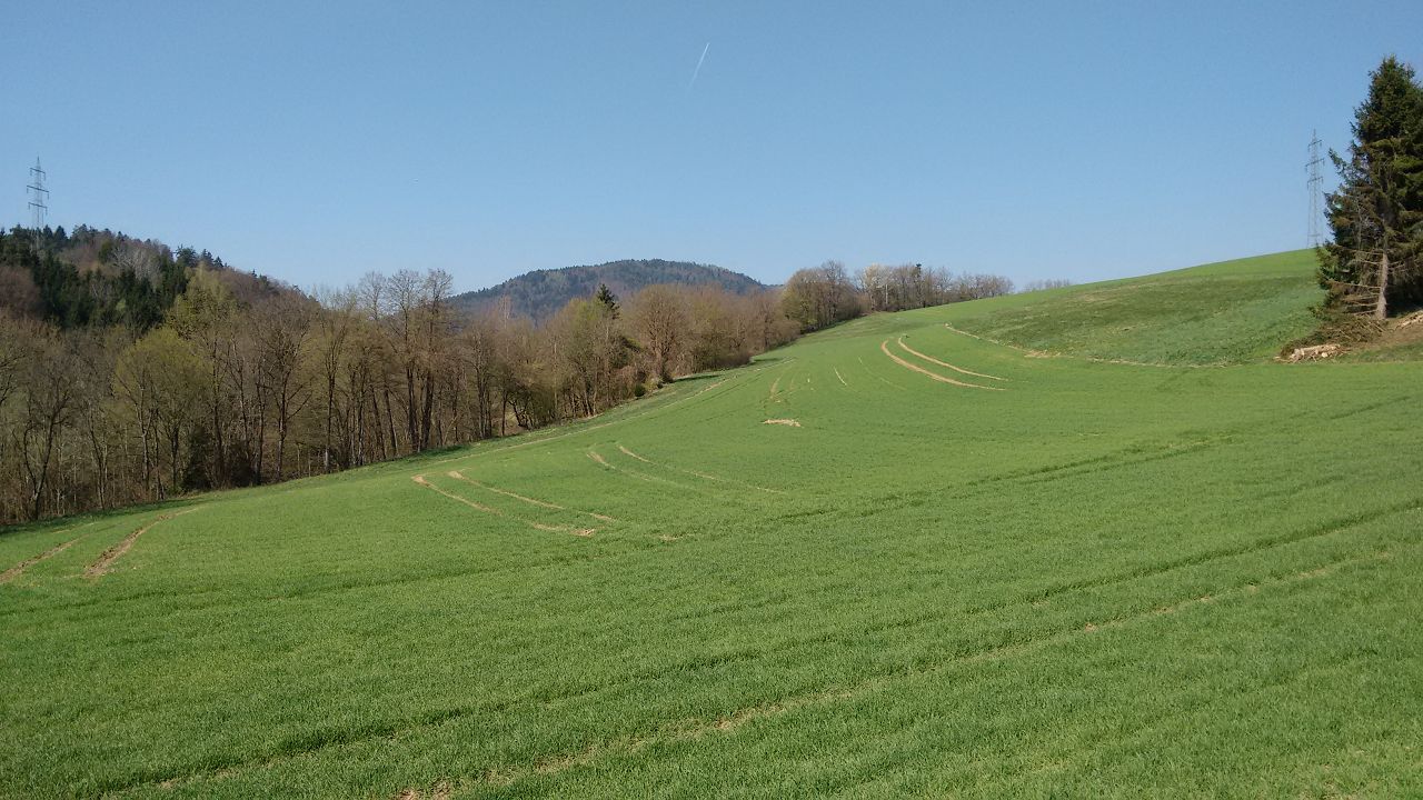 K IMG 20170401 124858477