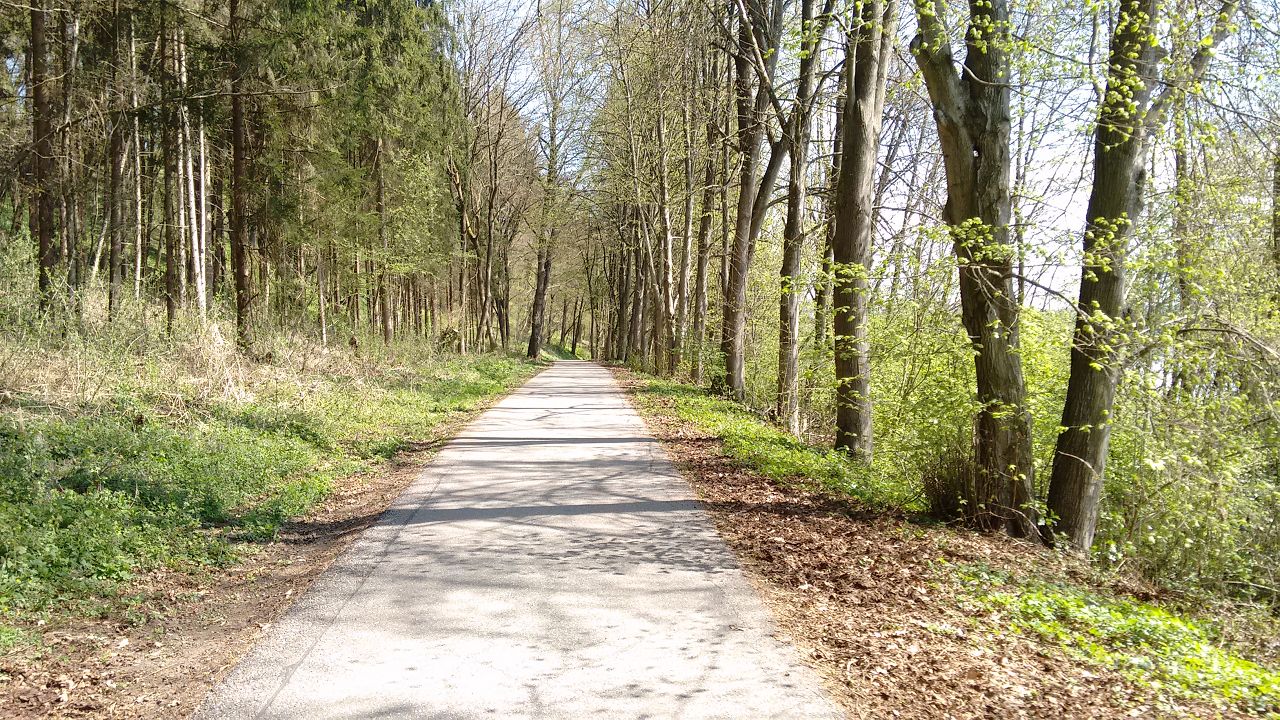 K IMG 20170401 125249378