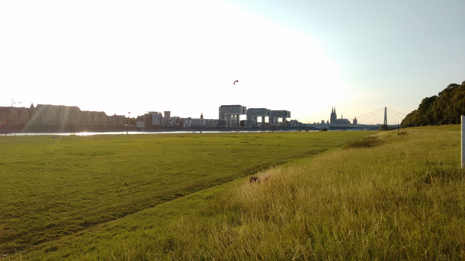 IMG 20170718 202608421